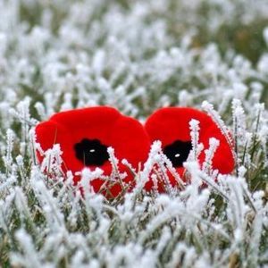 Meet your Posher, Jane